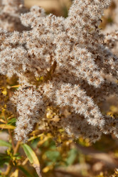 Similar image 21917121