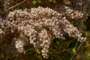 Similar image 21911872