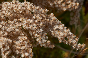 Similar image 21915854