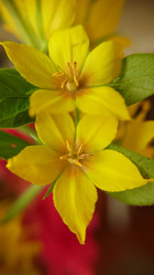 Similar image 21913125