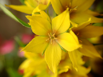 Similar image 21913126