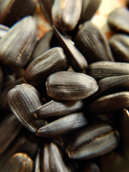 Similar image 21913134