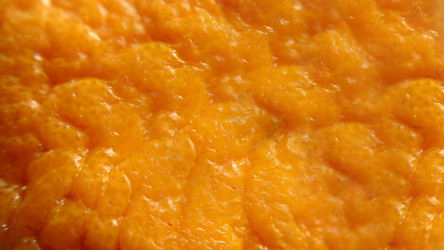 Similar image 21913347