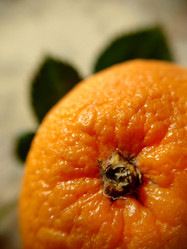 Similar image 21913348