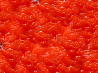 Similar image 21913352