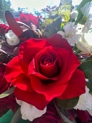 Similar image 21937377