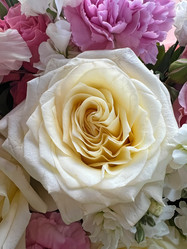 Similar image 21937378