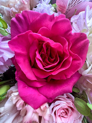 Similar image 21937379