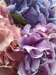 Similar image 21937381