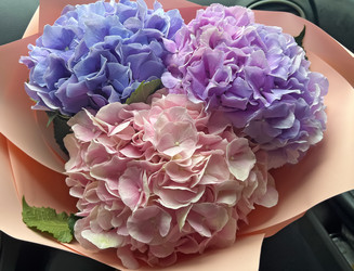 Similar image 21937382