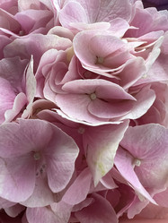 Similar image 21937383