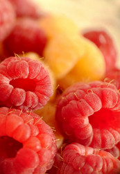 Similar image 21913374