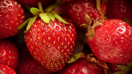 Similar image 21913384