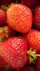 Similar image 21913386