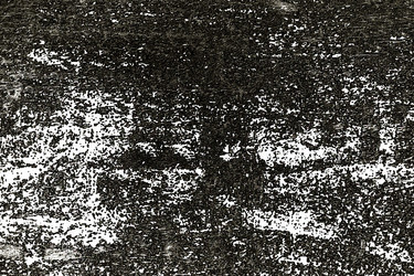 Similar image 21913411