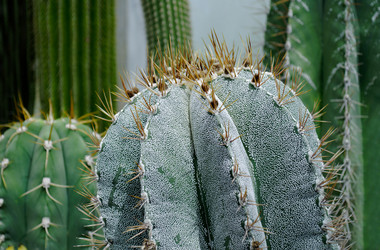 Similar image 21913417