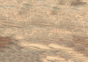 Similar image 21913420