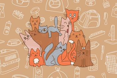 Similar image 21935750