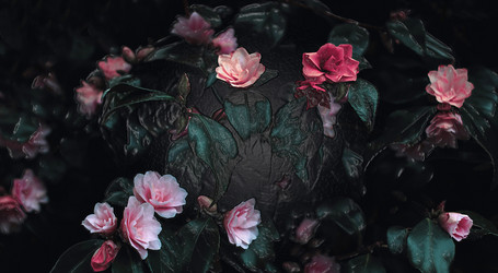 Similar image 21914453