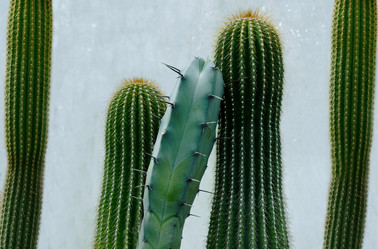 Similar image 21913146