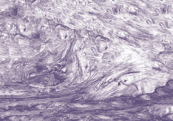 Similar image 21916104