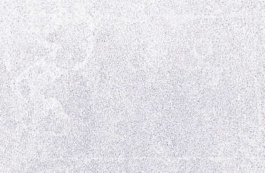 Similar image 21916127