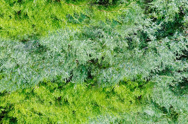 Similar image 21916140