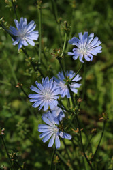 Similar image 21914481