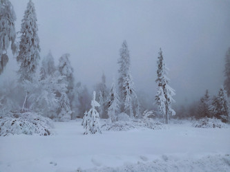 Similar image 21914482