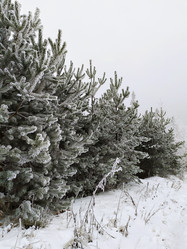 Similar image 21914483