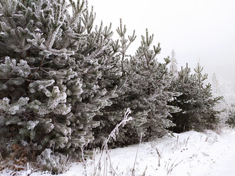 Similar image 21914484