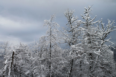 Similar image 21914485