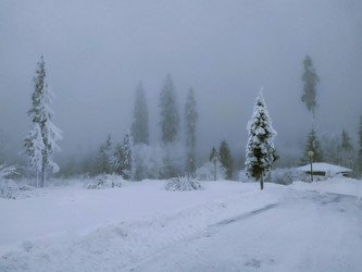 Similar image 21914486