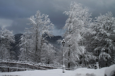 Similar image 21914487