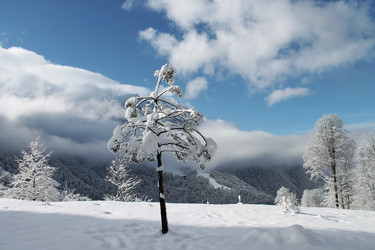 Similar image 21914488