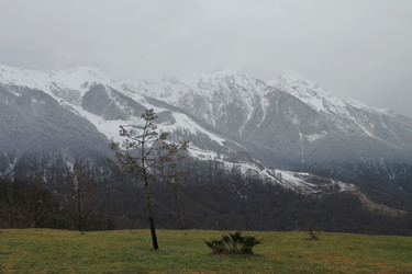 Similar image 21914489