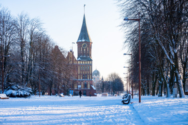 Similar image 21918238