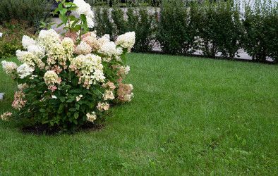 Similar image 21942475