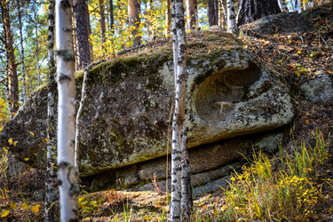 Similar image 21914405