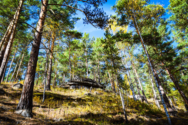 Similar image 21914407