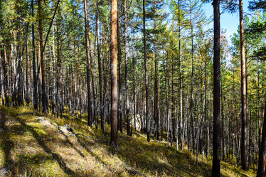 Similar image 21914409