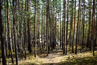 Similar image 21914410