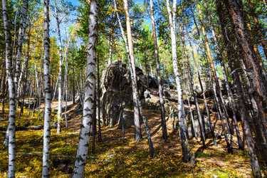 Similar image 21914414