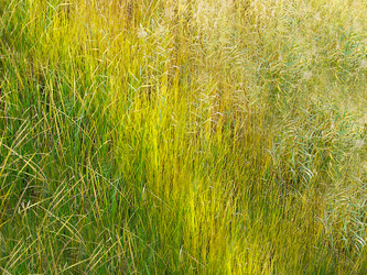 Similar image 21914490