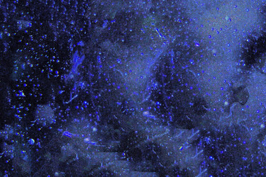 Similar image 21916148