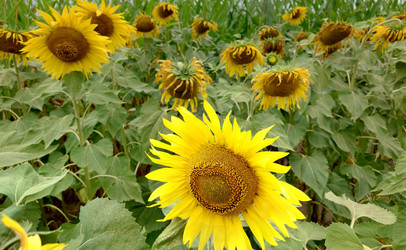 Similar image 21916151