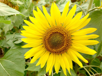 Similar image 21916155