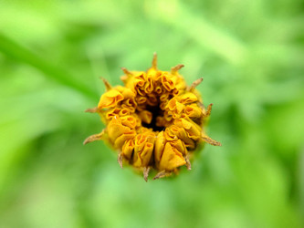 Similar image 21916163