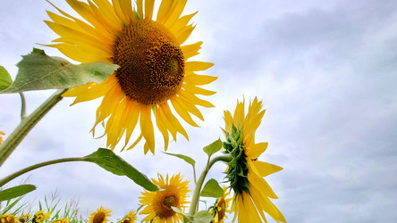 Similar image 21916165