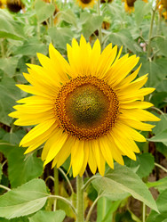 Similar image 21916172